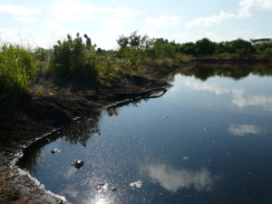 Oil-slicked lagoon at PDVSA oil well in Anzoategui state
